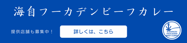 海自フーカデンビーフカレー